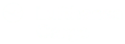 Lufthansa Cargo